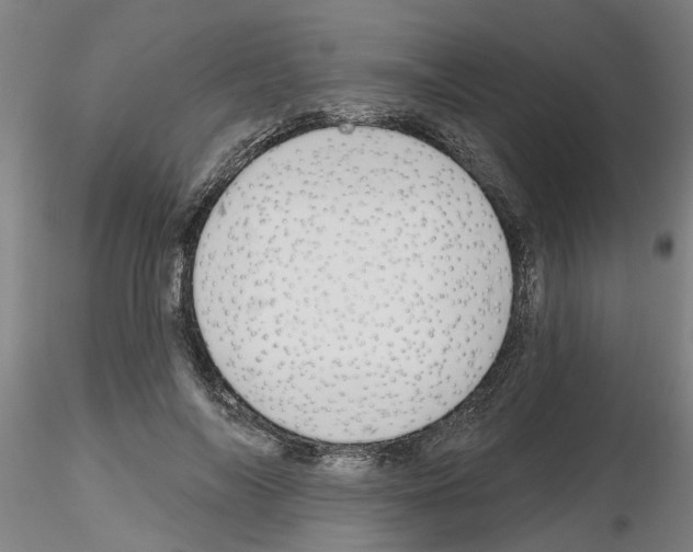 X0000116160694201001041114