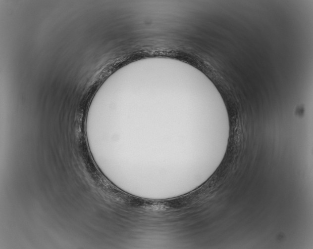 X0000116160695201001041114