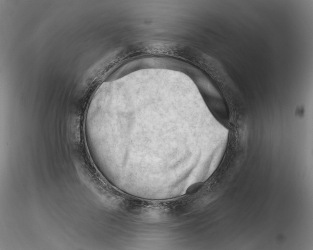 X0000116160696201001041114