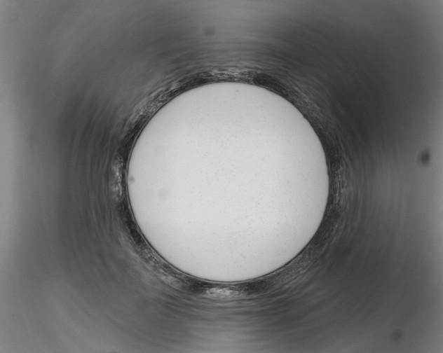 X0000116160699201001041114