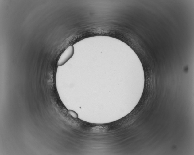 X0000116160700201001041114