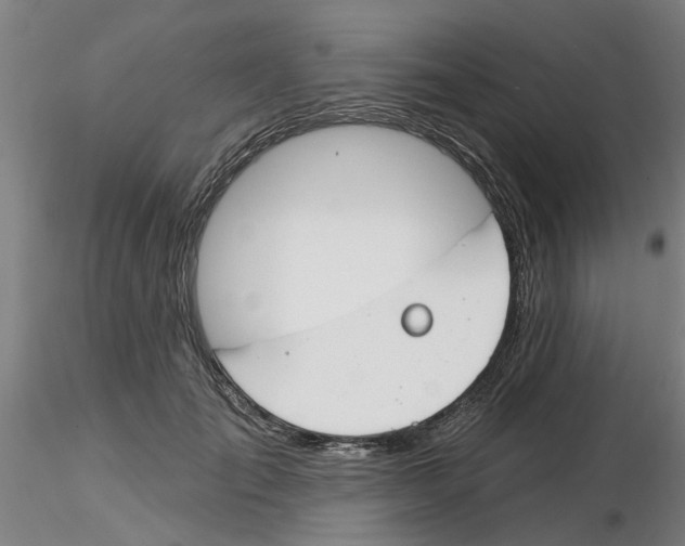 X0000116160701201001041114