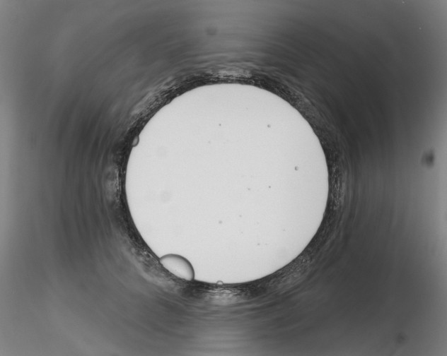 X0000116160704201001041114