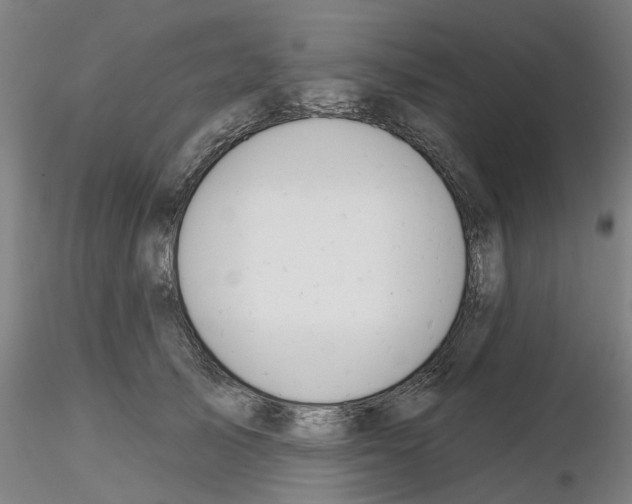 X0000116160705201001041114