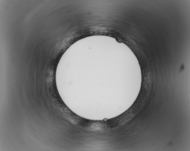 X0000116160708201001041114