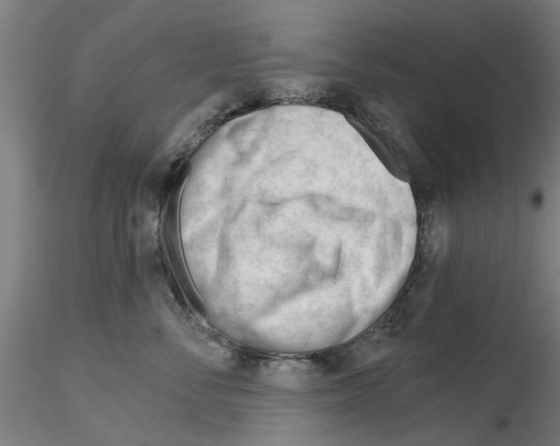 X0000116160716201001041114