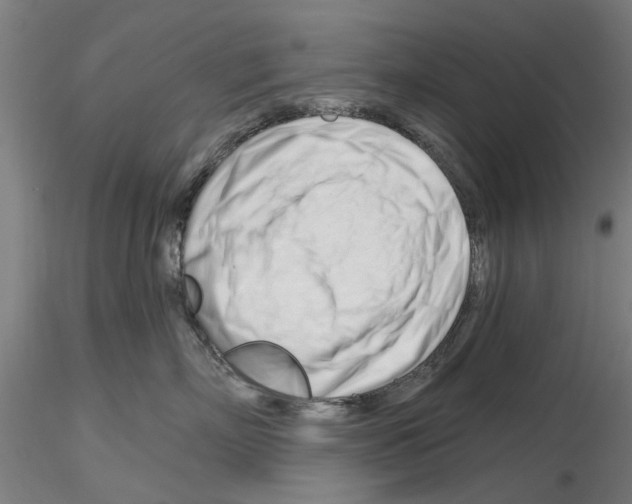 X0000116160718201001041114