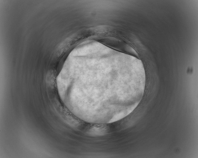 X0000116160720201001041114