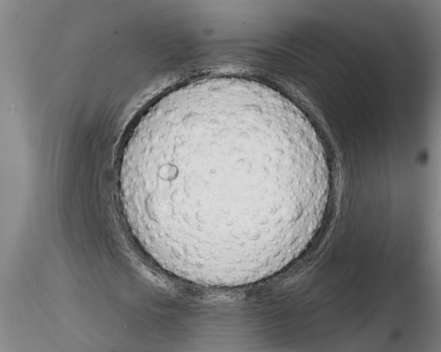 X0000116160721201001041113