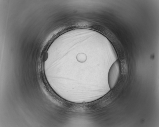 X0000116160726201001041113