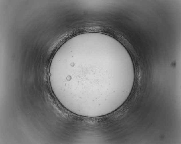 X0000116160729201001041114