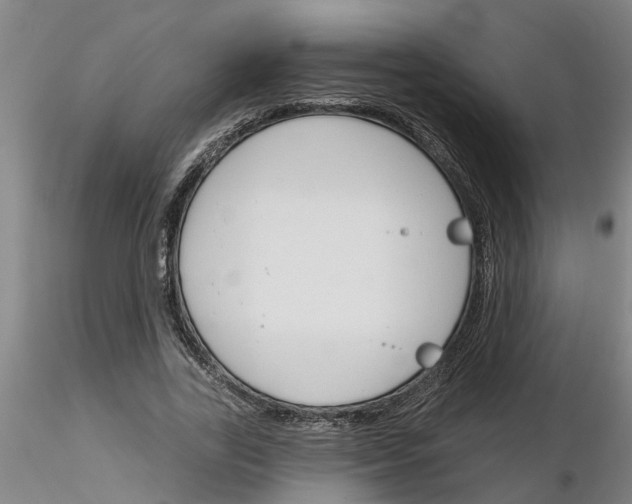 X0000116160731201001041114