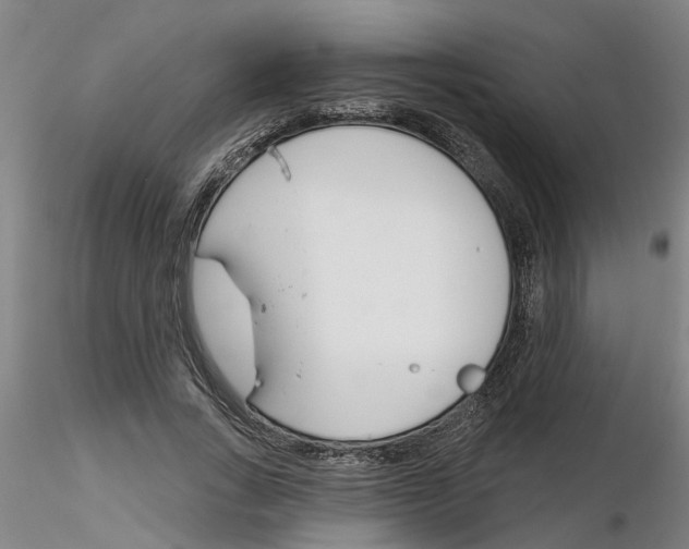 X0000116160735201001041114