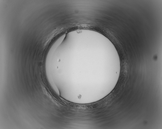 X0000116160738201001041114