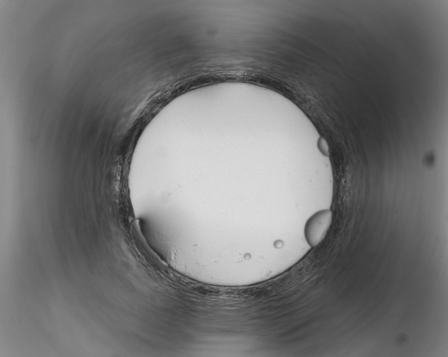 X0000116160739201001041114