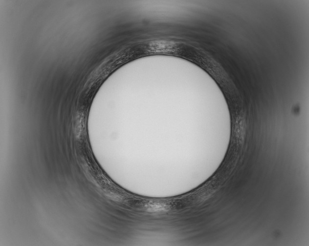 X0000116160741201001041114