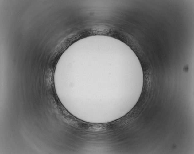 X0000116160745201001041114