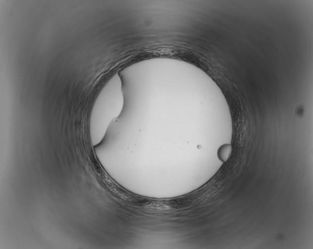 X0000116160747201001041114