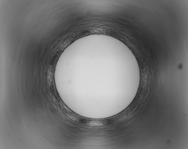 X0000116160749201001041114