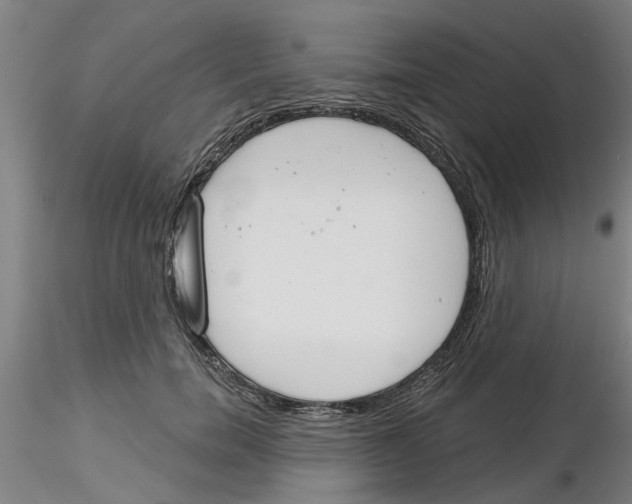 X0000116160750201001041114