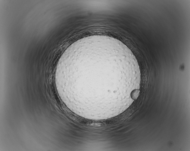 X0000116160751201001041114