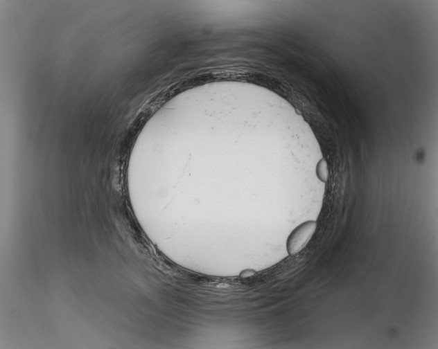 X0000116160755201001041114