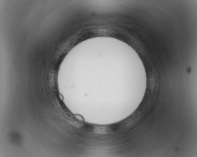 X0000116160757201001041114