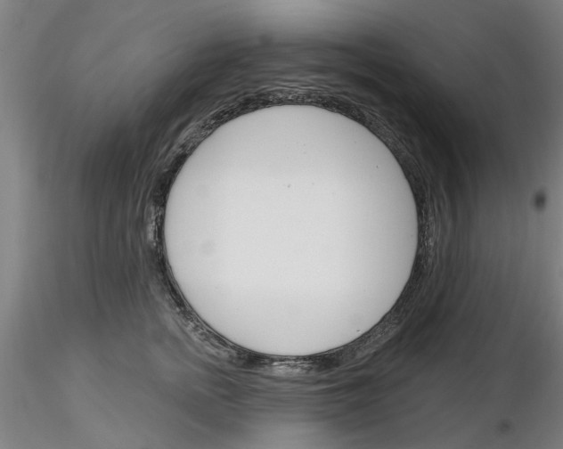 X0000116160758201001041114