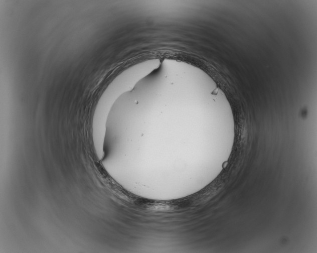X0000116160759201001041114