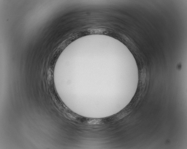 X0000116160761201001041114