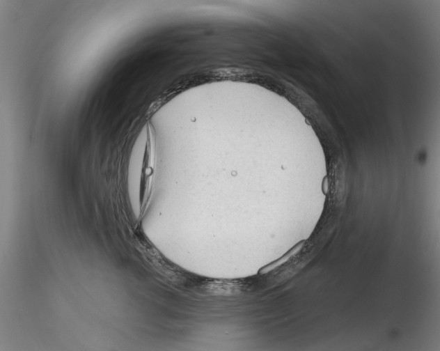 X0000116160762201001041114