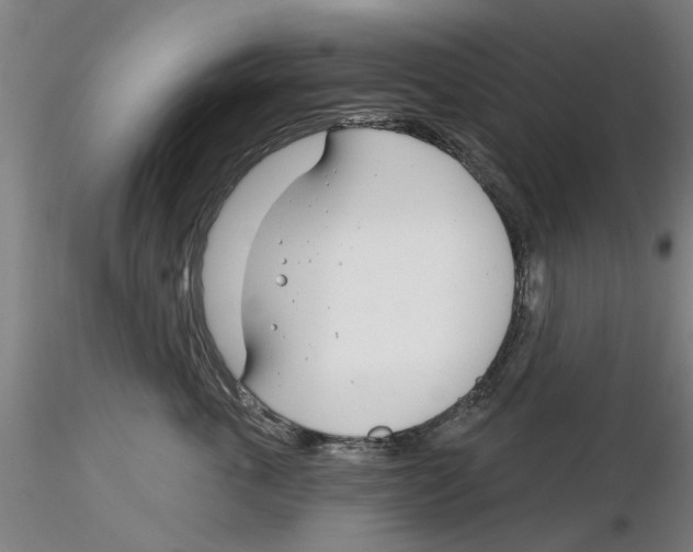 X0000116160763201001041114