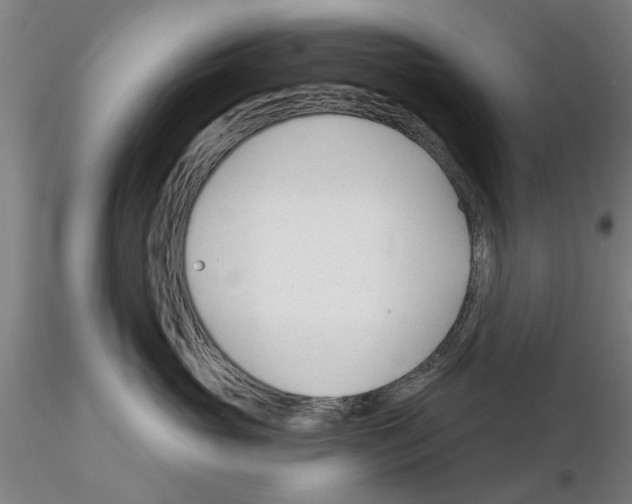 X0000116160765201001041114