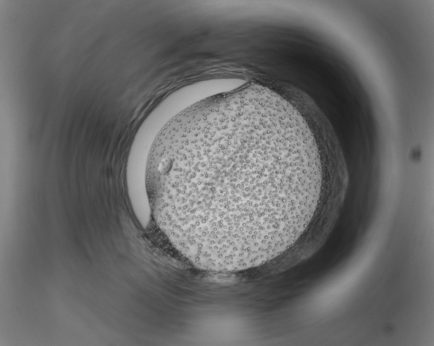 X0000116160767201001041114
