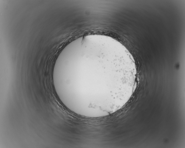 X0000116160769201001041113