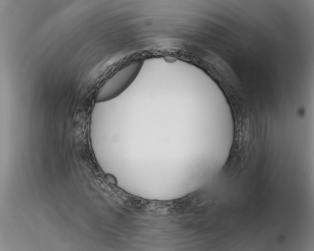 X0000116160773201001041113