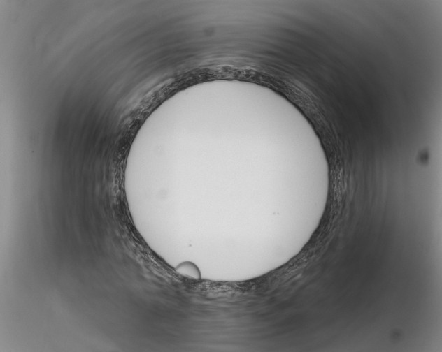 X0000116160774201001041113