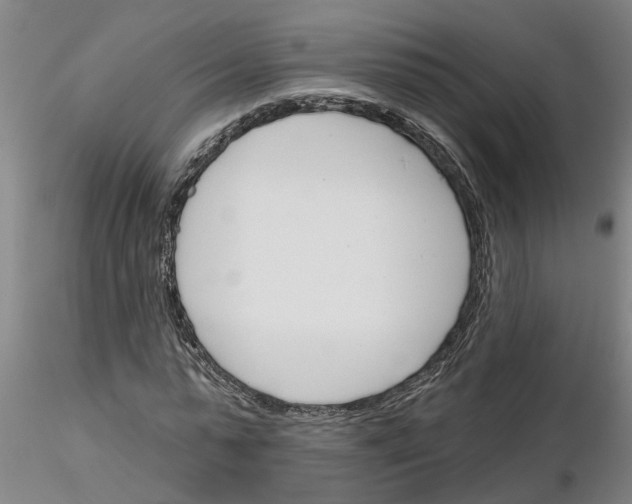 X0000116160775201001041113