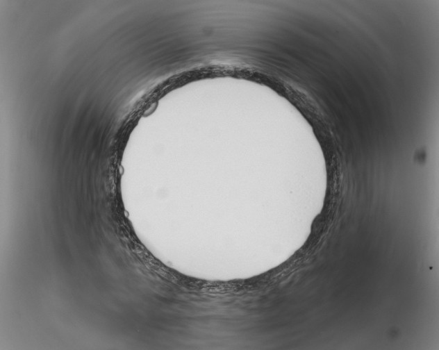 X0000116160776201001041113