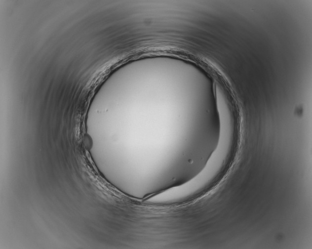 X0000116160777201001041113
