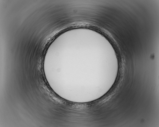 X0000116160778201001041113