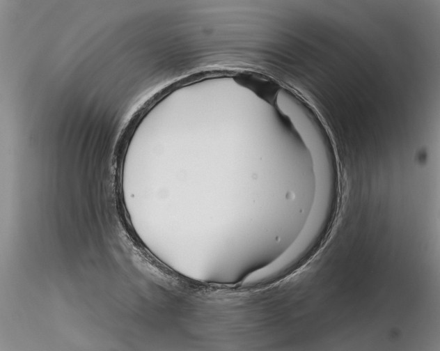 X0000116160779201001041113