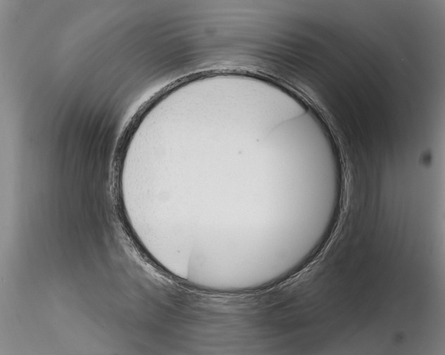 X0000116160780201001041113