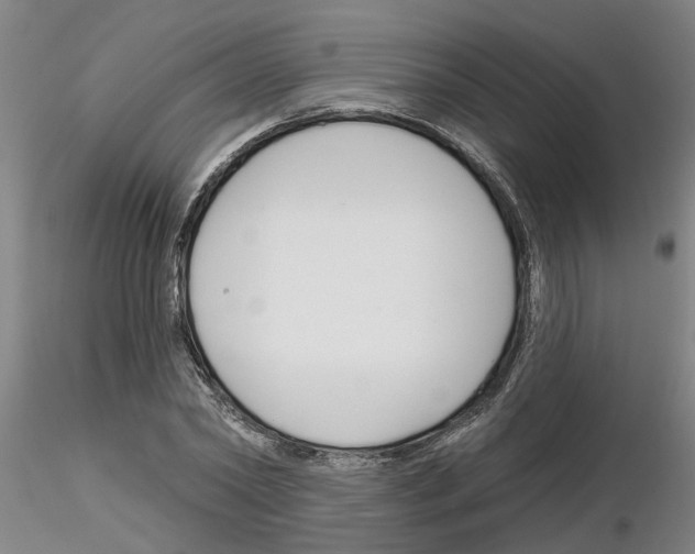 X0000116160782201001041113
