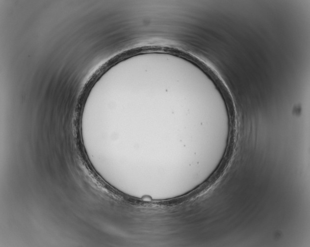X0000116160783201001041113