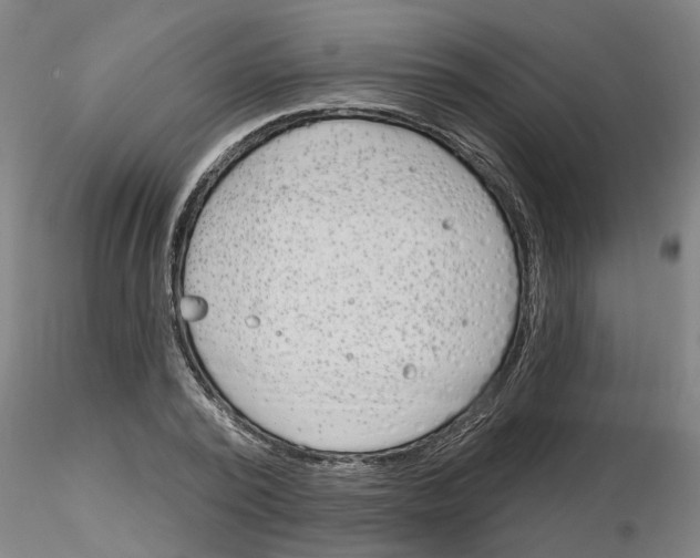 X0000116160784201001041113