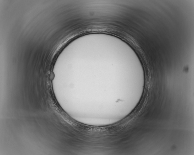 X0000116160786201001041113