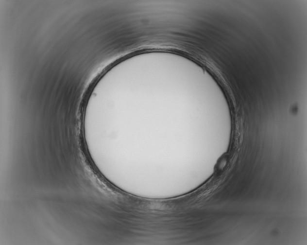 X0000116160787201001041113