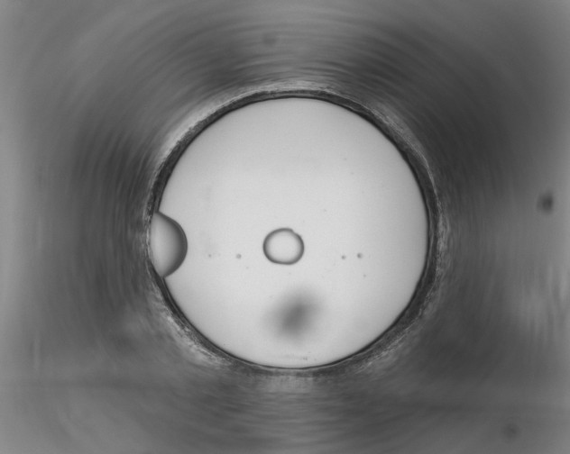 X0000116160789201001041113