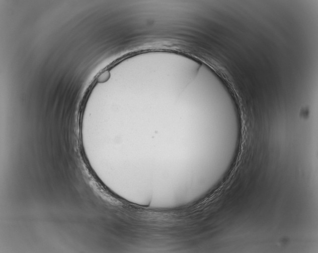 X0000116160792201001041113